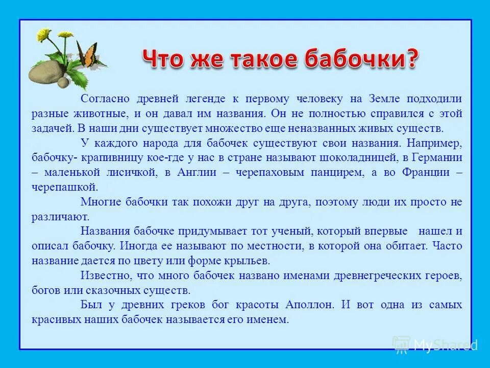 Справится с этой задачей времена. Важные сведения о бабочках. Информация о бабочках 2 класс. Важважные сведения о бабочках. Рассказ о бабочке 2 класс.