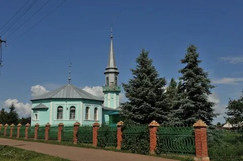 Мокрые курнали