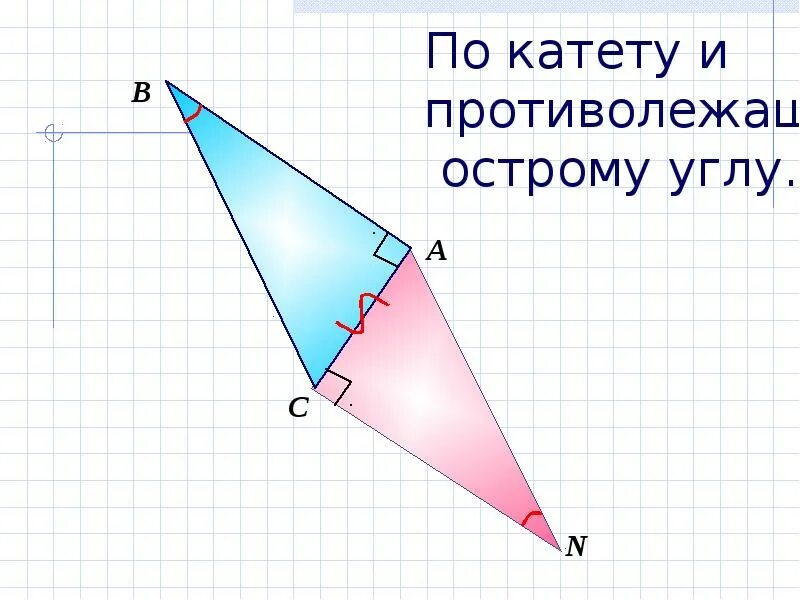 13 катет противолежащий углу. Катет противолежащий углу. По катету и противолежащему острому углу. Катет и противолежащий острый угол. Равны по катету и противолежащему острому углу.