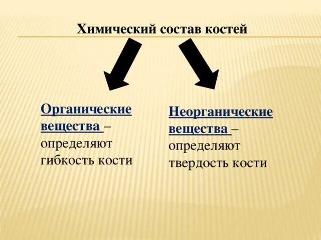 Вещества придающие твердость кости. Химический состав кости органические и неорганические вещества. Химический состав костей. Состав костей неорганические вещества. Твердость кости.