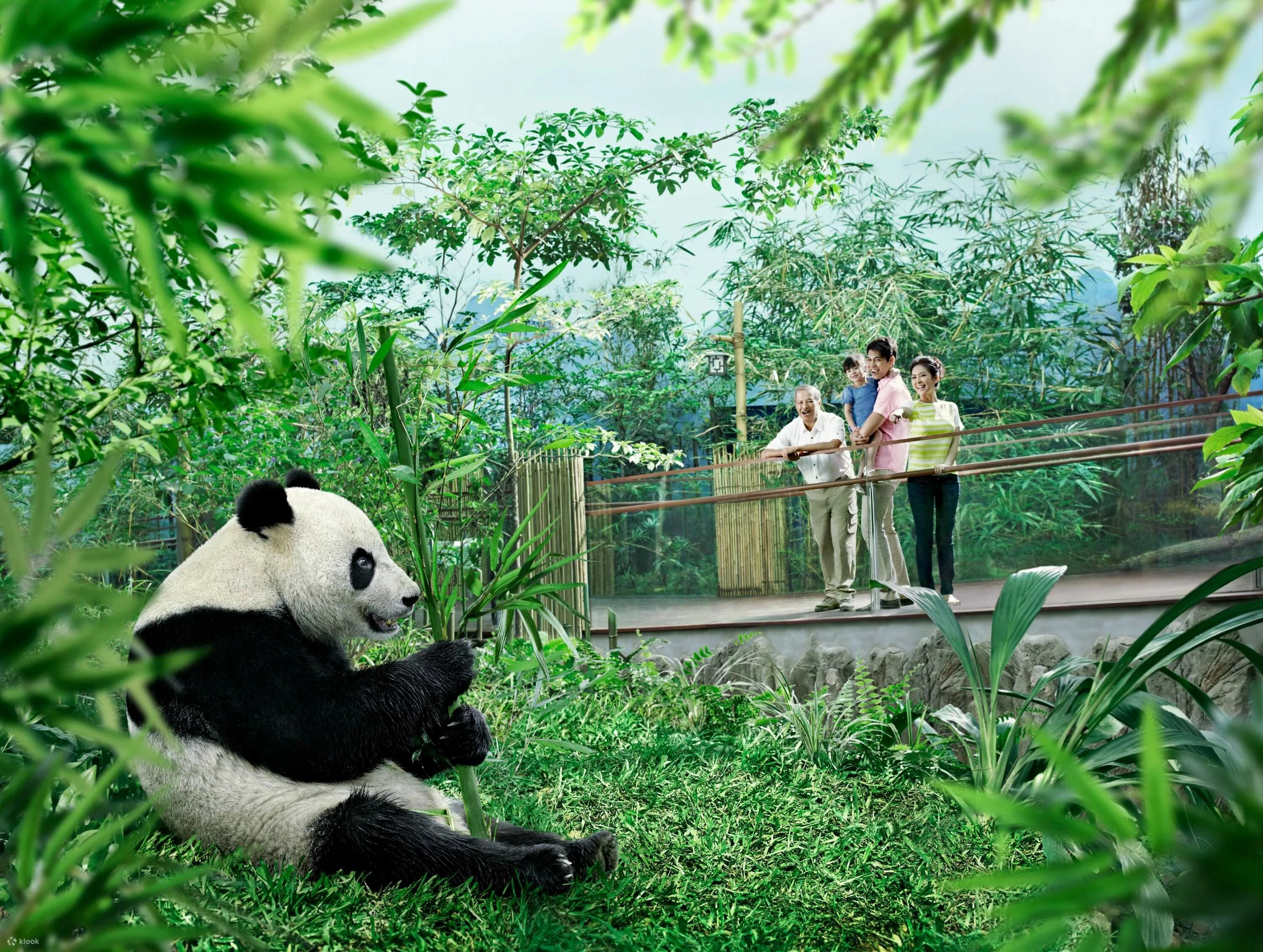 Zoo animals park. Парк речное сафари Сингапур. Сингапур зоопарк. Сингапурский зоопарк, Сингапур. Зоопарк Сингапура Singapore Zoo.