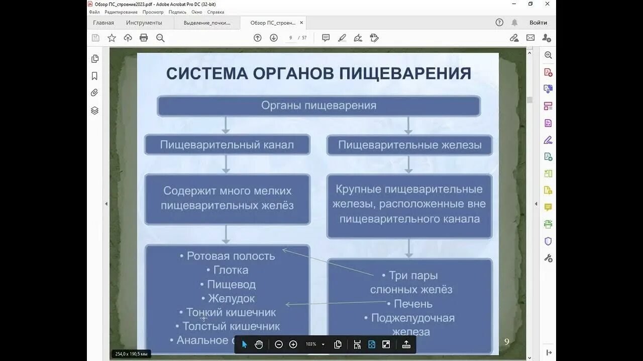 Пример функционирования пищеварительной системы органов. Таблица по биологии строение и функции пищеварительной системы. органы и железы пищеварительной системы таблица. таблица по пищеварительной системе человека. функции органов пищеварительной системы человека таблица.