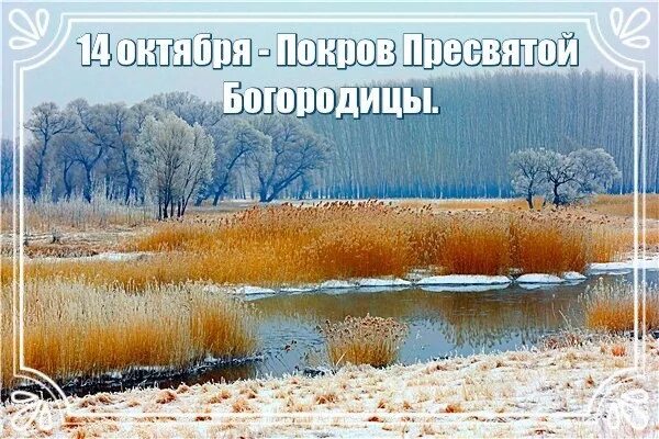 Первый снег на почве. Покров первый снег. Поздняя осень снег. Покров первый снег. Покров первый снег.