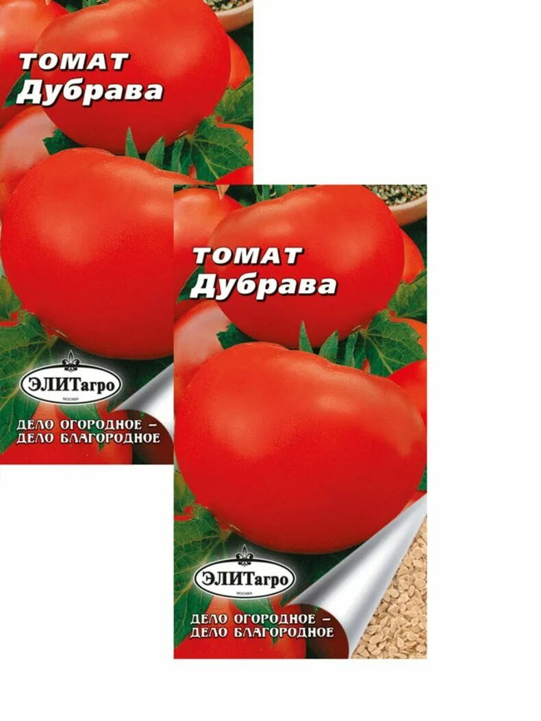 Семена томата Дубрава. Дубрава сорт помидор. Томат сорт Дубрава. Томат Дубрава Дубок. Томаты сорт дубрава отзывы фото