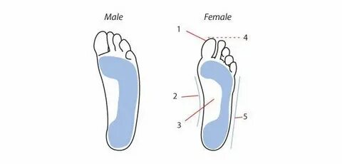 Feet vs foot
