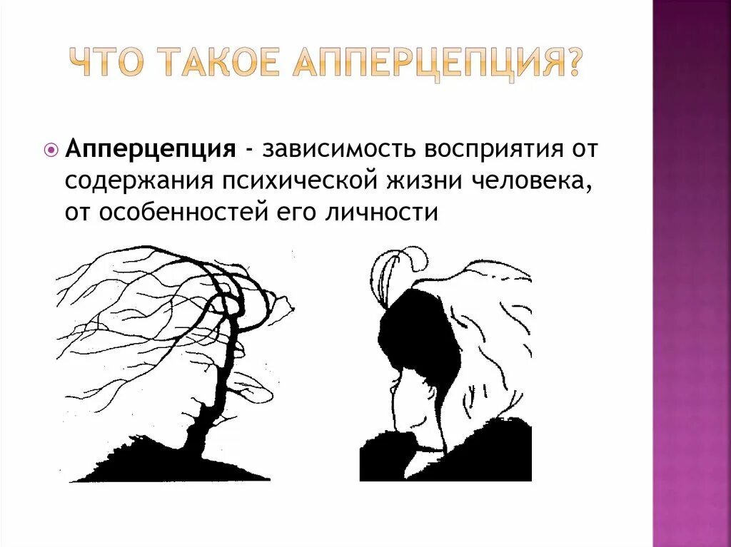 Совокупность чувственных. Апперцепция. Апперцепция восприятия. Свойства восприятия апперцепция. Апперцепция (зависимость восприятия от личности)..