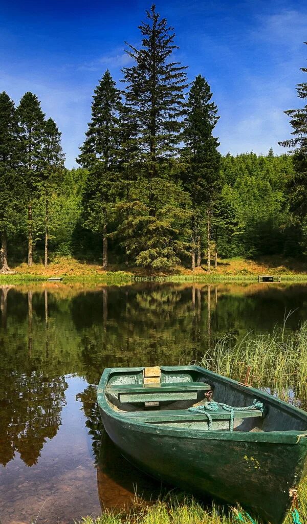 Озеро в лесу. Лодка на озере. Природа лес озеро. Лес озеро лодка. Лес озеро лодка.