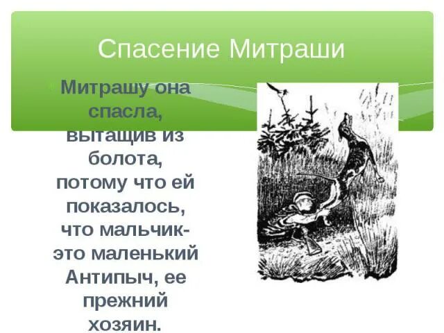 Почему торф называют кладовой солнца. Кладовая солнца спасение Митраши. Кладовая солнца травка спасает Митрашу. Как травка спасла Митрашу из кладовая солнца. Митраша на болоте кладовая солнца.