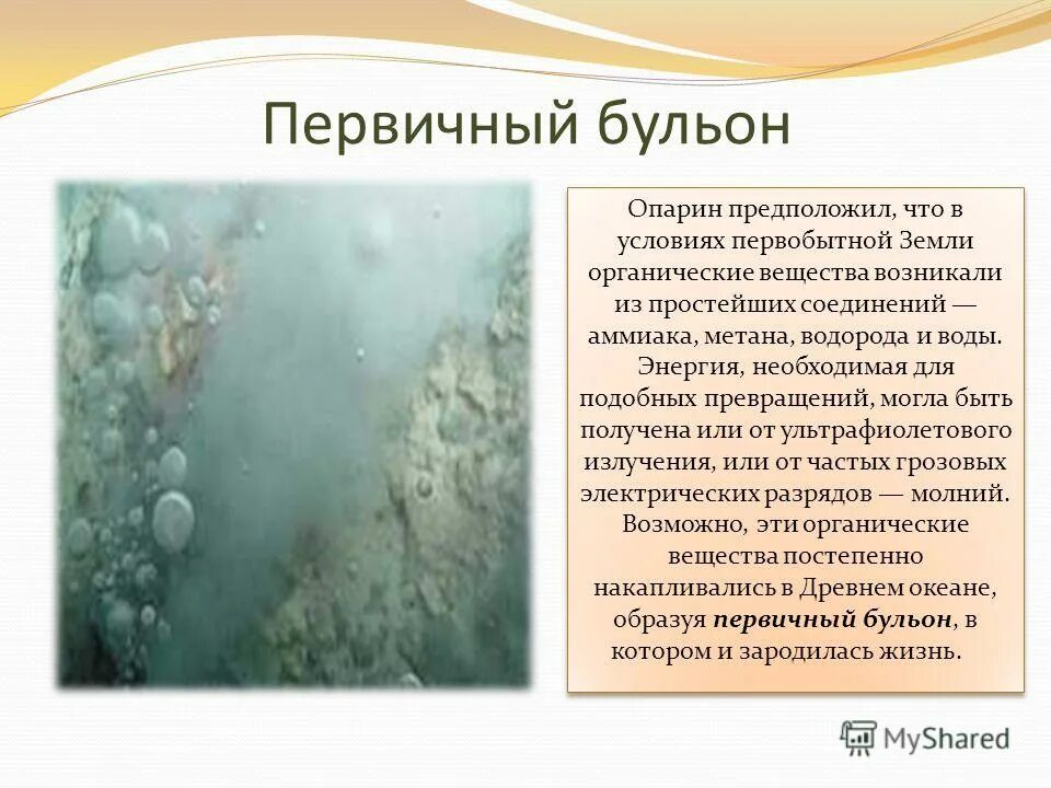 первые органические вещества на земле. абиогенное возникновение органических мономеров. теория зарождения жизни первичный бульон. процессы химической эволюции. возникновение жизни на земле.