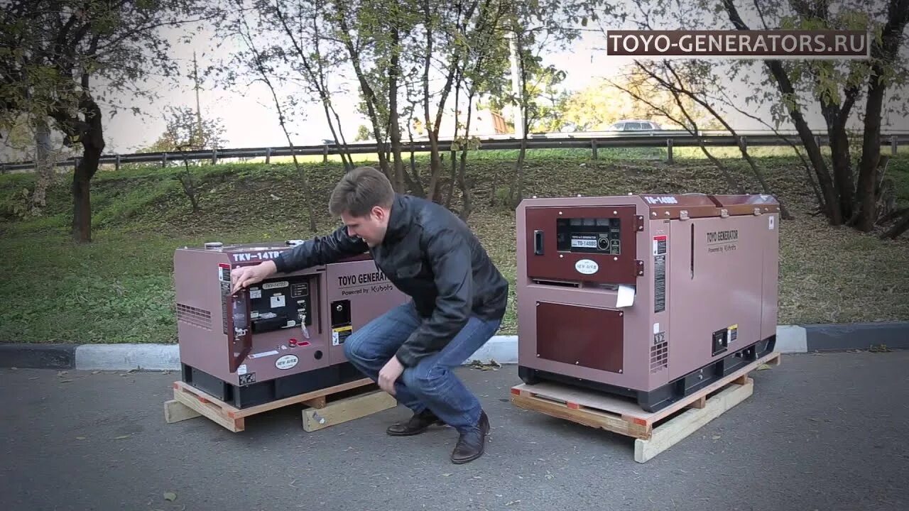 Купить малошумный генератор. TTS 30 Toyo Генератор. Бензиновый Генератор 380 в в шумозащитном кожухе. Дизельный Генератор в шумозащитном кожухе. Генератор 3000 ватт шумозащитном кожухе.