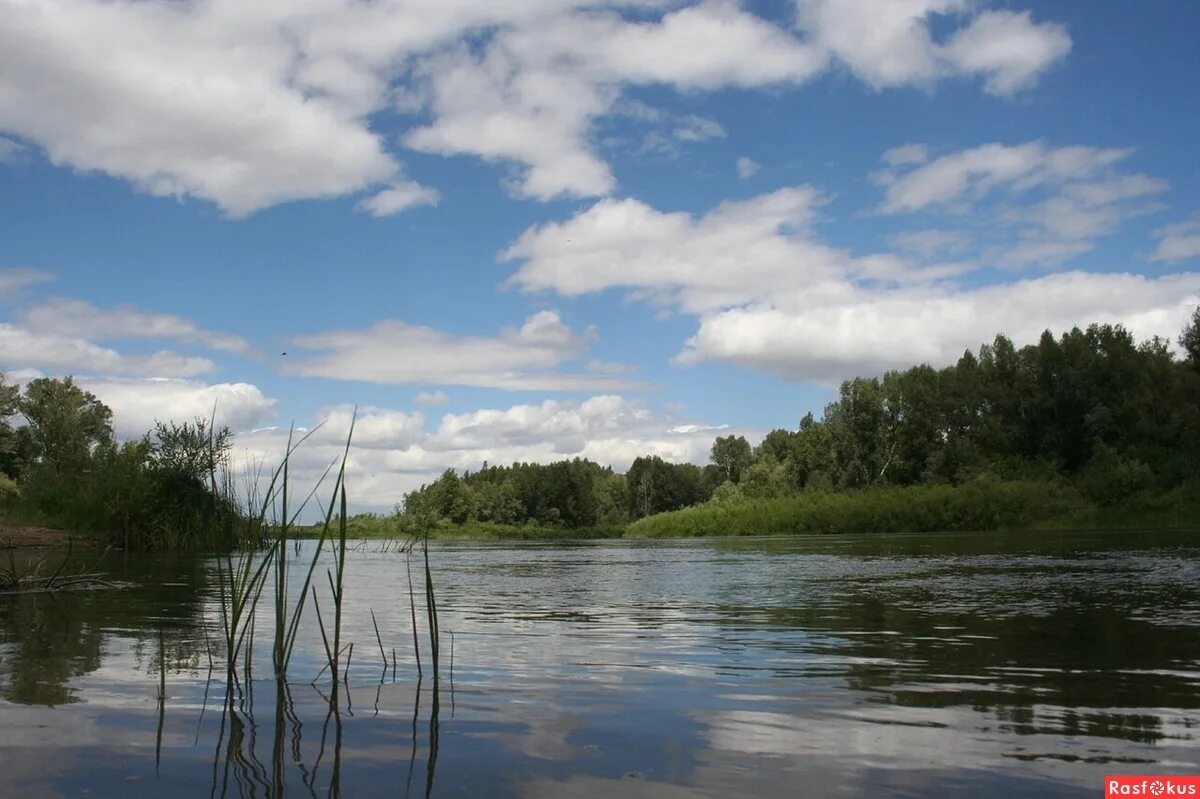 река яик в казахстане. исток реки урал. река яик в казахстане. река яик урал. река яик урал.