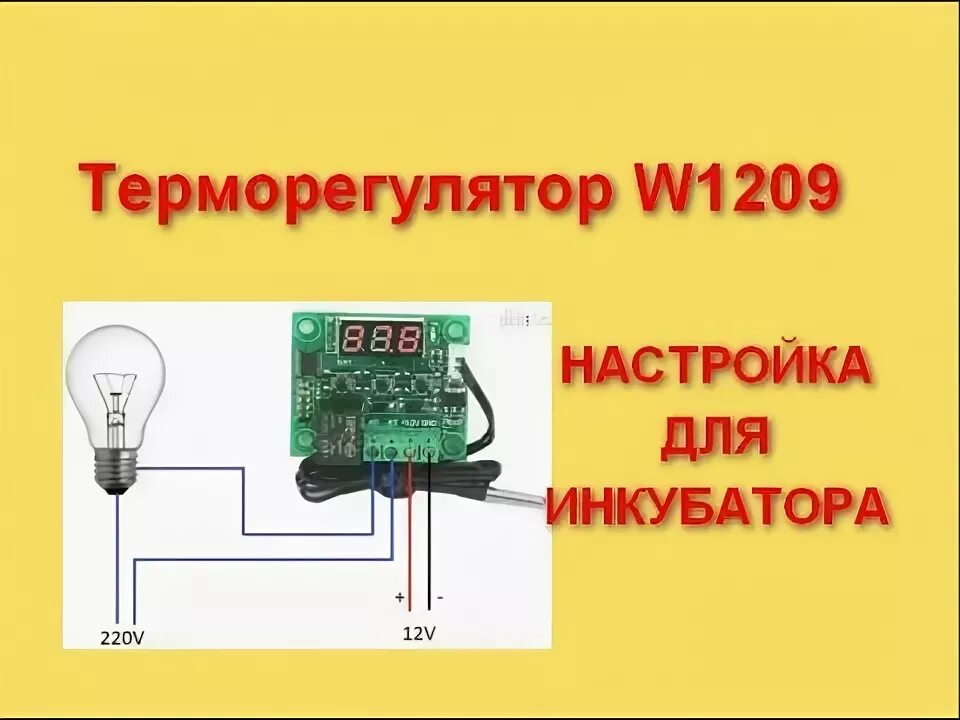 Как подключить терморегулятор к инкубатору. Цифровой термостат w1209. Терморегулятор китайский XH-w1209. Схема подключения китайского терморегулятора. Терморегулятор для инкубатора 1209.