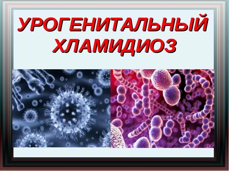 Урогенитальный хламидиоз. Урогенитальный хламидиоз презентация. Хламидийные инфекции презентация. Хламидия в организме