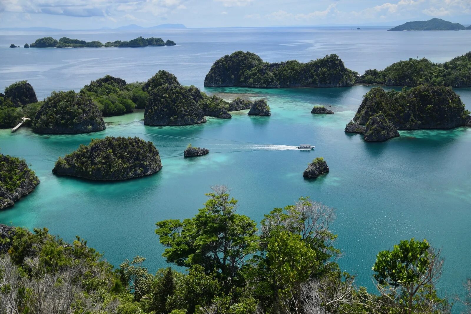 Острова раджа-ампат. Raja ampat индонезия. Острова раджа ампат индонезия. Архипелаг раджа ампат. Джакарта острава архипелага.