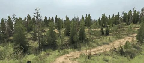 Forest edition
