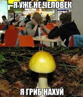 Это мой гриб