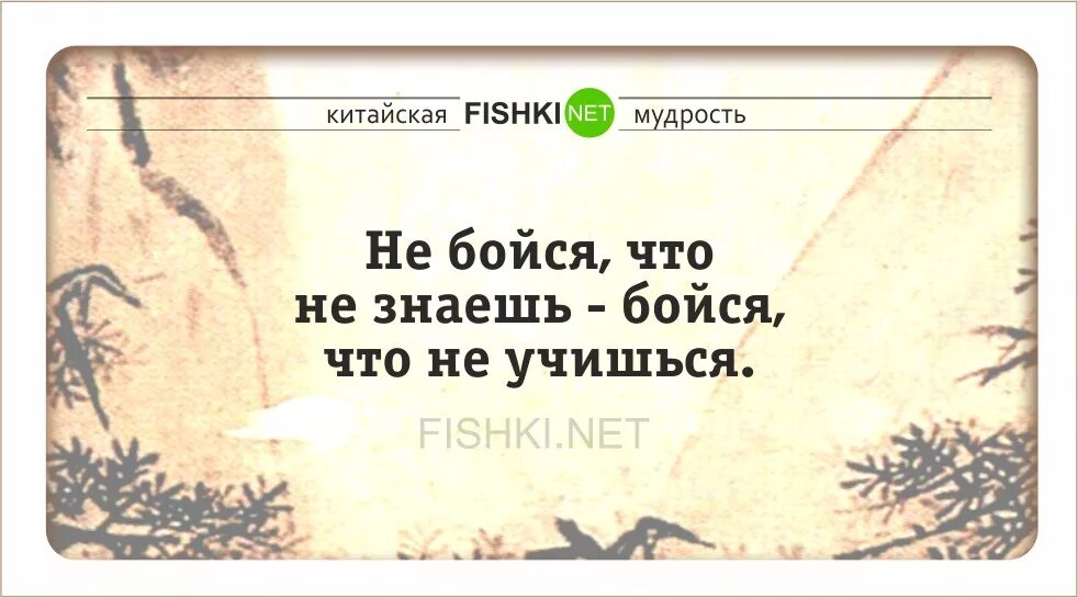 Зачем мудрость. Китайская мудрость. мудрые китайские пословицы. китайские пословицы и поговорки. мудрые пословицы.