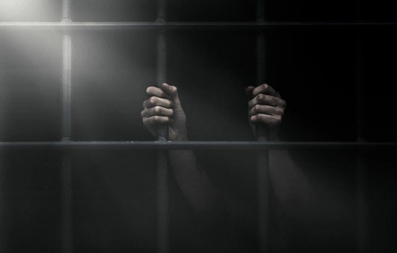 Through the bars
