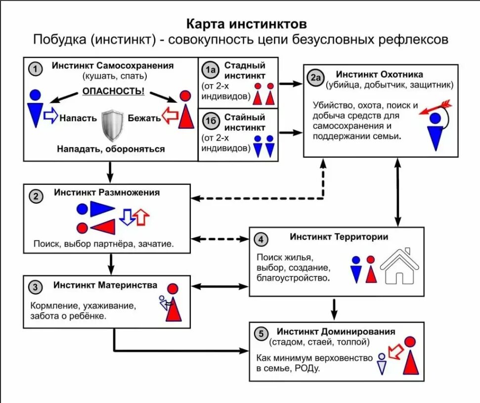 Какой инстинкт является основным инстинктом человека. Инстинкты человека список. Базовые инстинкты человека. Примеры инстинктов у человека. Инстинкт схема.