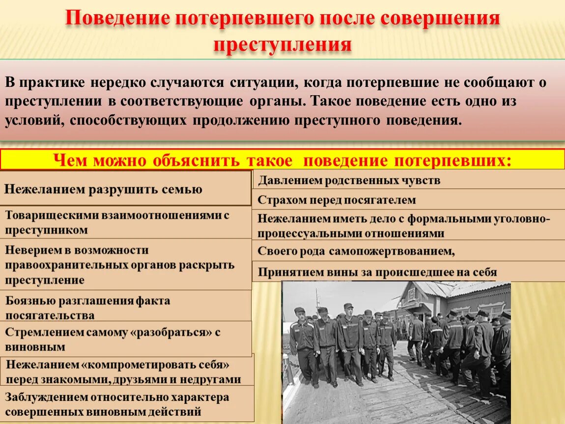 Функции потерпевшего. Виды поведения жертвы. аморальное поведение потерпевшего пример. поведение пострадавших.