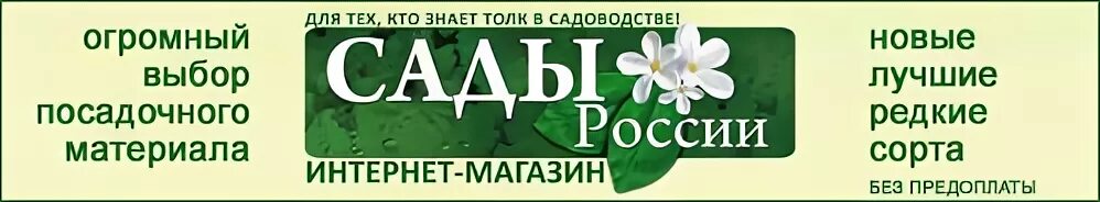 Челябинск сайт огород. Семена сады России Челябинск. Сады России 2021 семена. Сад и огород интернет магазин семена. Челябинский питомник сады России интернет магазин.