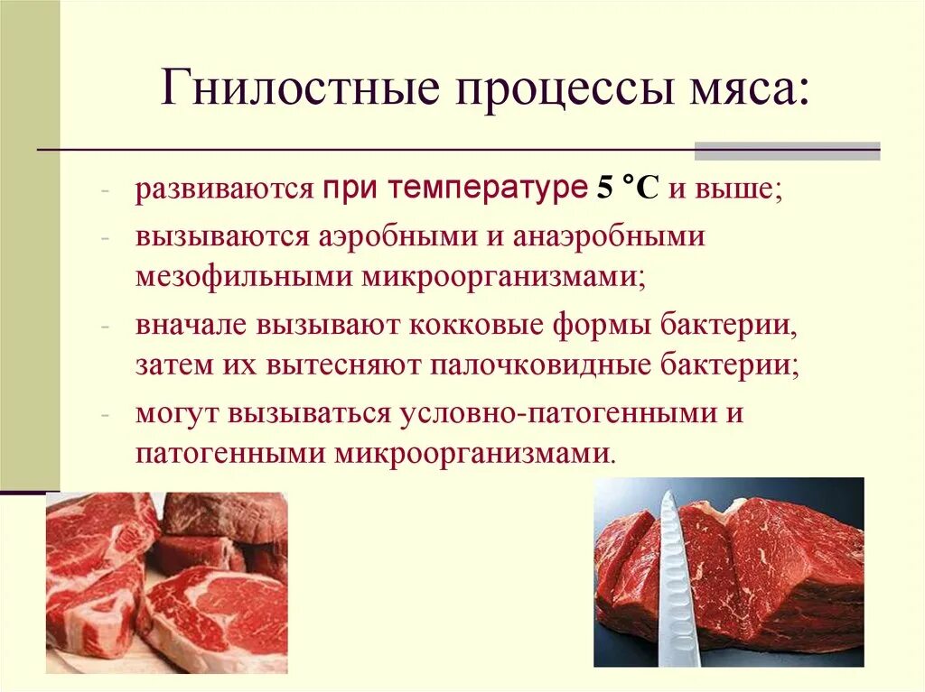 Качество мяса рыбы. Микробиология мяса и мясных продуктов. Микрофлора мяса и мясных продуктов. Причины гниения мяса рыбы.