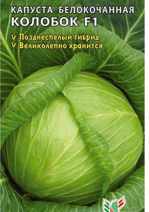 Капуста белорусская описание сорта отзывы. Капуста белокочанная Колобок f1, 15шт, Гавриш. Капуста Слава 1305 семена Алтая. Капуста белокочанная белорусская. Капуста белокочанная Слава.