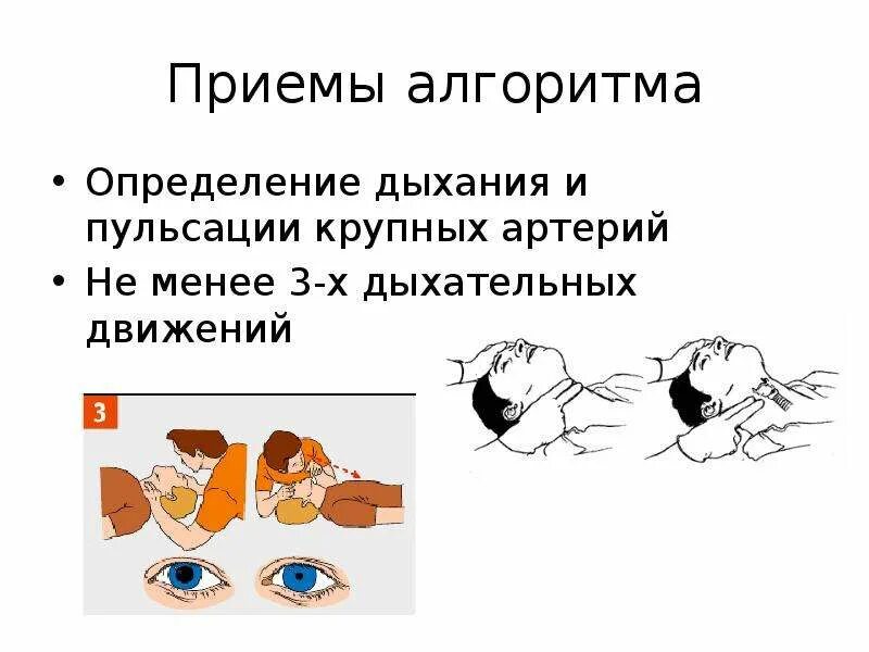 Измерение дыхания алгоритм. Измерение дыхания алгоритм