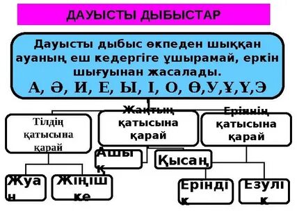 Киска леггинстерде шығып тұр