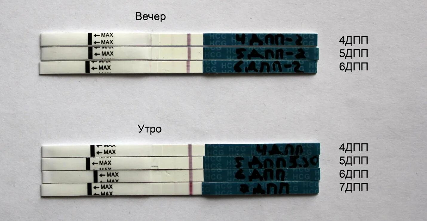 Как должен показывать тест. Тест-полоски на беременность на ранних сроках. Полоски теста на беременность на ранних сроках. Тест для определения беременности на ранних сроках. Точный тест на беременность на ранних сроках.