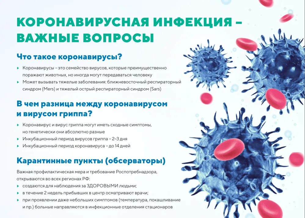 Коронавирус эффективные препараты. Профилактика коронавирусной инфекции. Вирусы профилактика вирусных заболеваний. Профилактика при вирусных заболеваниях. Вирусные заболевания коронавирус.