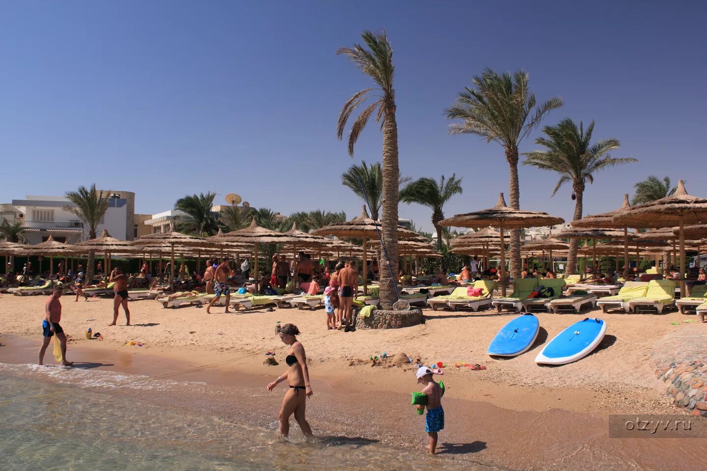 Premium Sea Gull Resort Hurghada 4* Отель Премиум си гул 4* в Хургаде в Египте