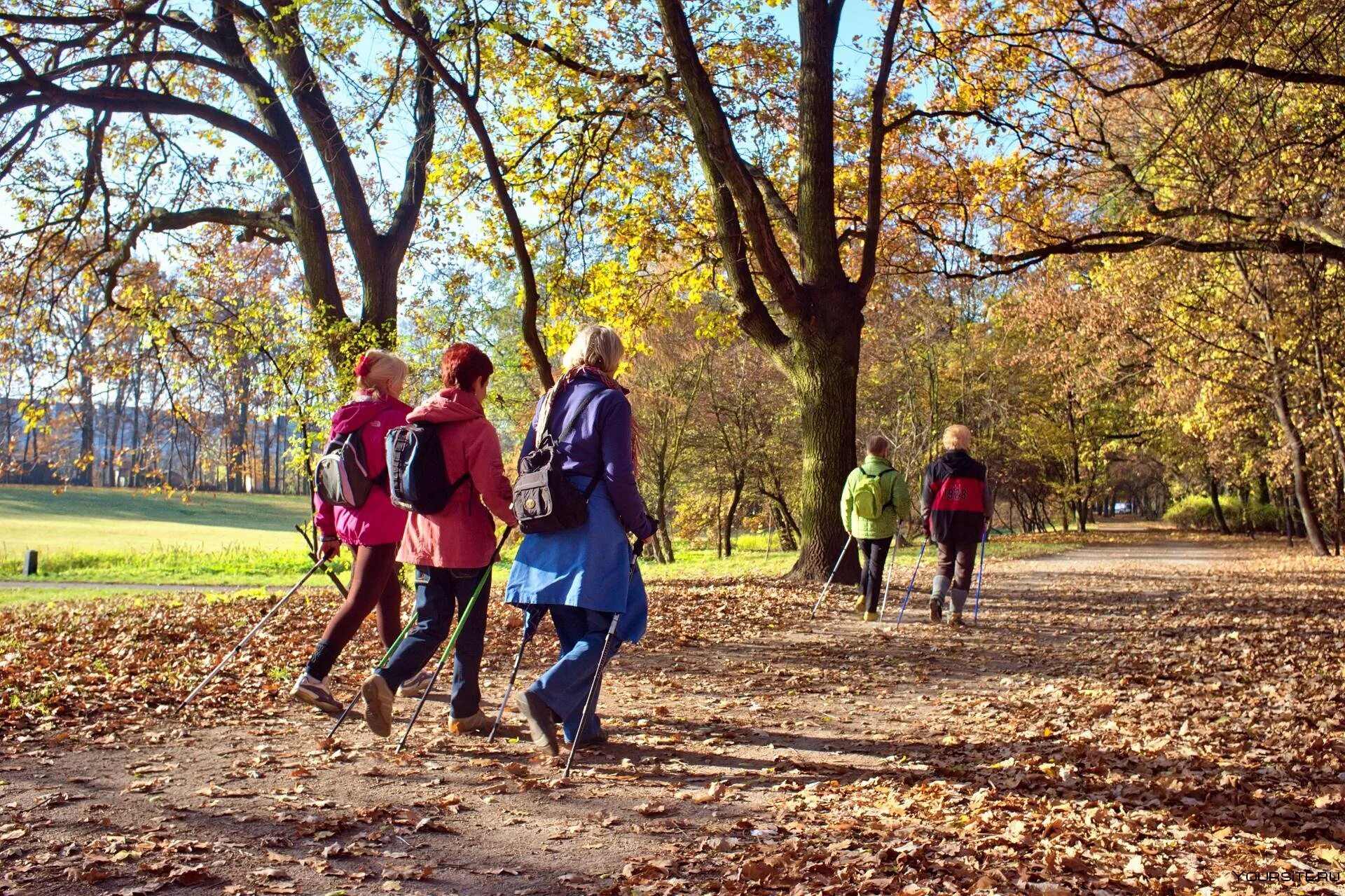 Люди в парке. Прогулка по парку. Прогулка в парке. Парк с людьми. Lot of people in the park