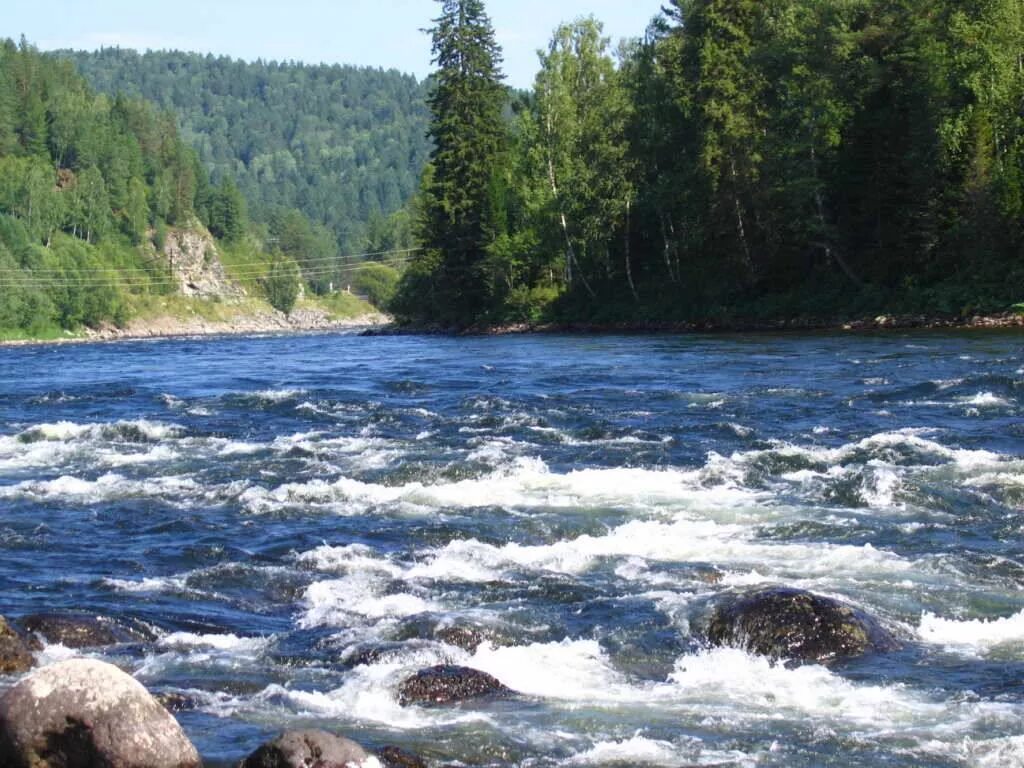 Река бия горно алтайска. Горная река бия. Горный алтай бия. Река бия катунь алтайский край. Река бий алтай.