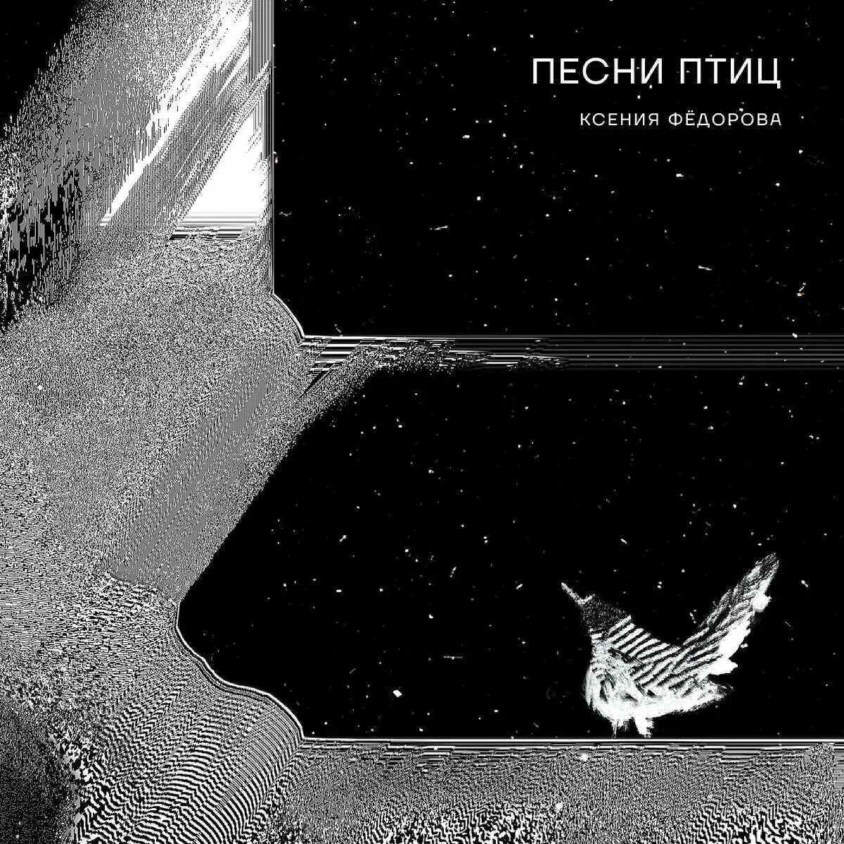 Песня птица можно. Птицы-песни. Птицы обложка трека. Музыкальный альбом с птицами.