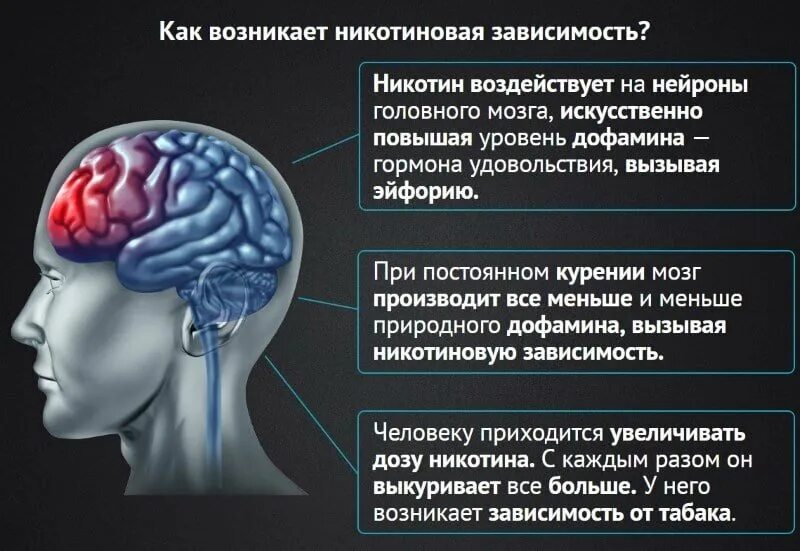 Никотиновая зависимость. Зависимость от никотина. Зависимость от НИКОТИК. Причины никотиновой зависимости.