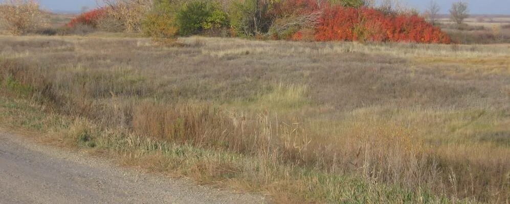 Саратовская область красноармейский район село каменка погода. Саратовская область поселок Каменка. Село Каменка Красноармейский район. Село Каменка Саратовская область Красноармейский район. Малая Каменка Саратовская область.