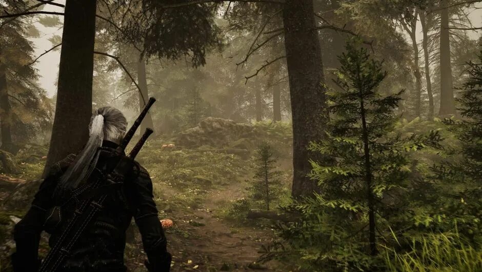 The witcher remake дата выхода