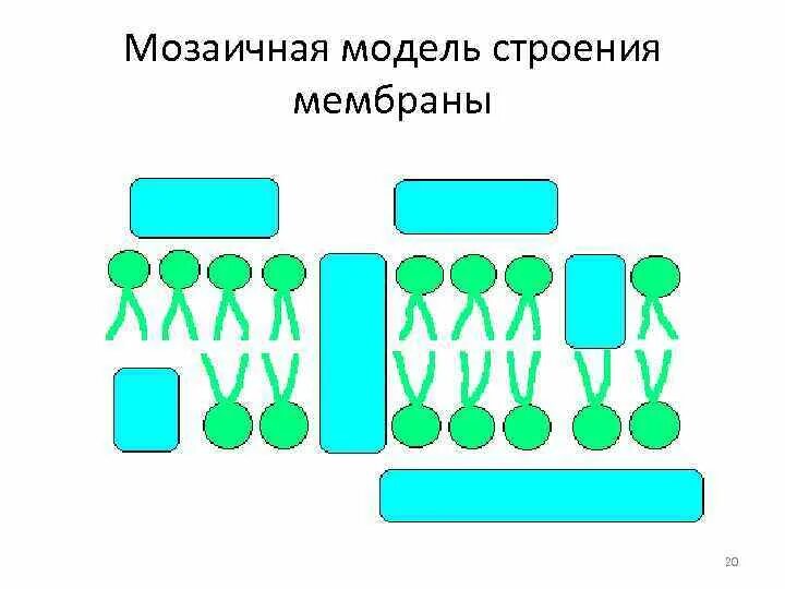Мозаичное строение