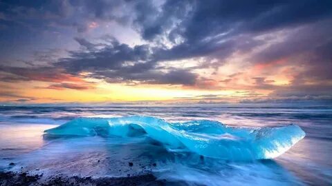 The sea ice