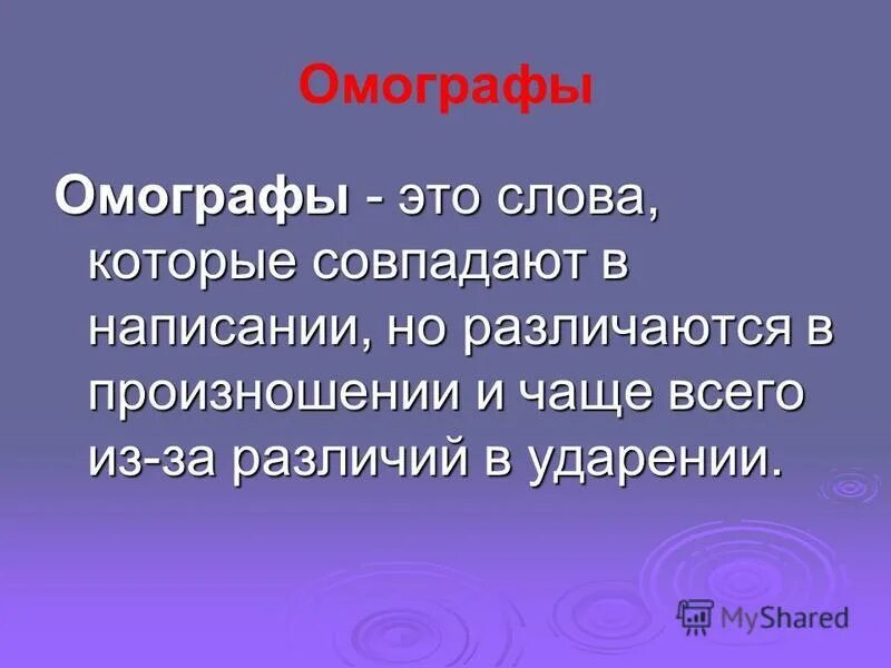 стою стою омографы