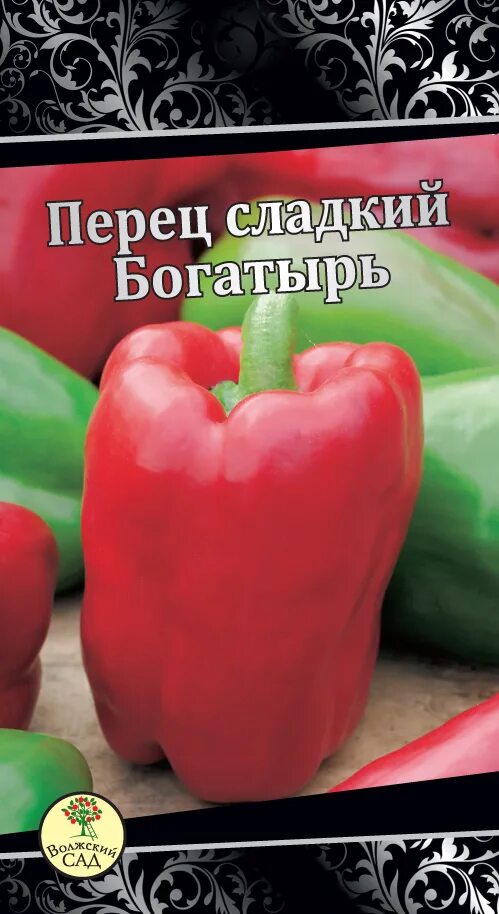 Перец сладкий богатырь описание. Сорт перца богатырь. Перец сладкий Сибирский богатырь. Семена перец сладкий богатырь. Перец красный богатырь.