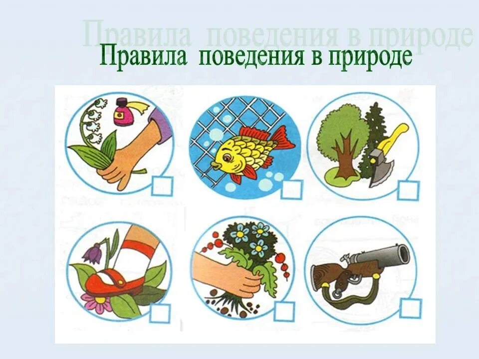 Знаки правил поведения в природе картинки