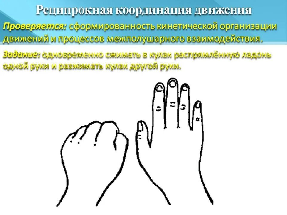 Почему двигается палец. Пальчиковая гимнастика для развития межполушарного взаимодействия. Пальчиковая гимнастика межполушарное взаимодействие. Упражнения на межполушарное. Межполушарное взаимодействие упражнения.