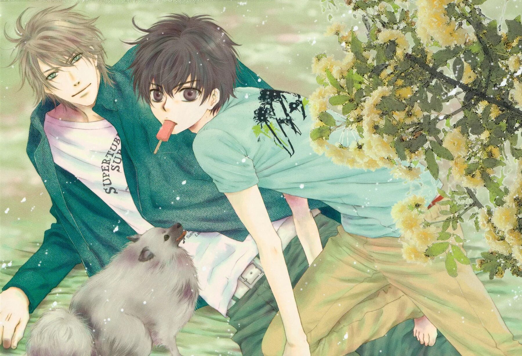 Яой манга возлюбленной. Яой манга возлюбленной. Chapter манга яой. Yoshio akira. Манхва lover boy.