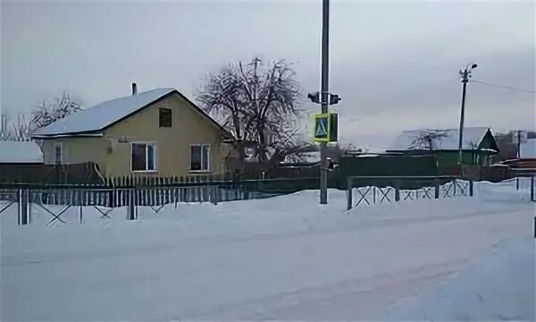 Квартиру в мишкино курганской. Село Восход Курганская область. Село Восход Мишкинский район. Село Восход Мишкинский муниципальный округ, Курганская область. Поселок Мишкино Курганской области.