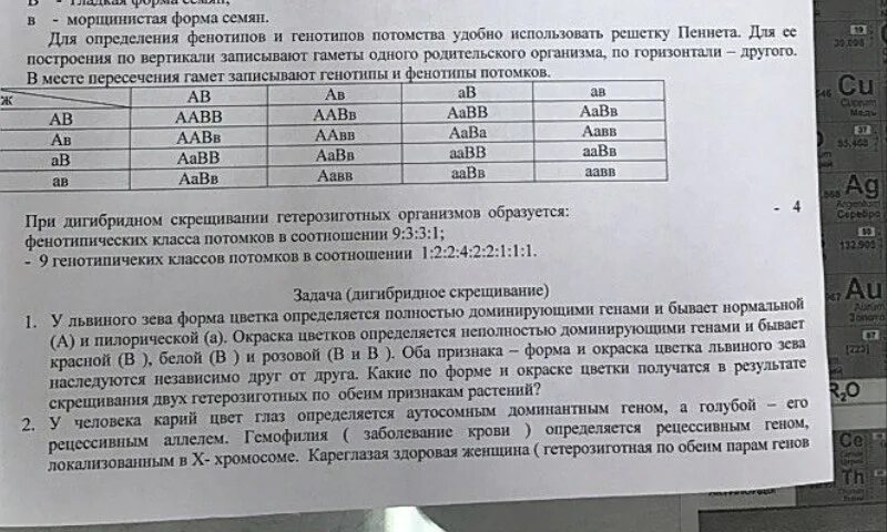 Фенотип крови. Как определить фенотип крови. Анализ крови на фенотип. Фенотип системы резус. Фенотип третьей группы крови