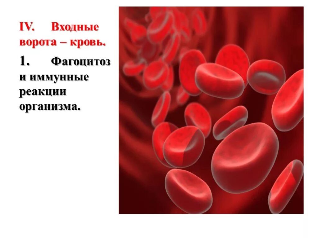 Сестринский при заболеваниях крови. Иммунные реакции крови. Входные ворота кровь. Инфекционные заболевания крови. Иммунное заболевание крови.