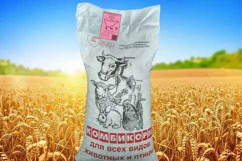 Дружбы комбикорм