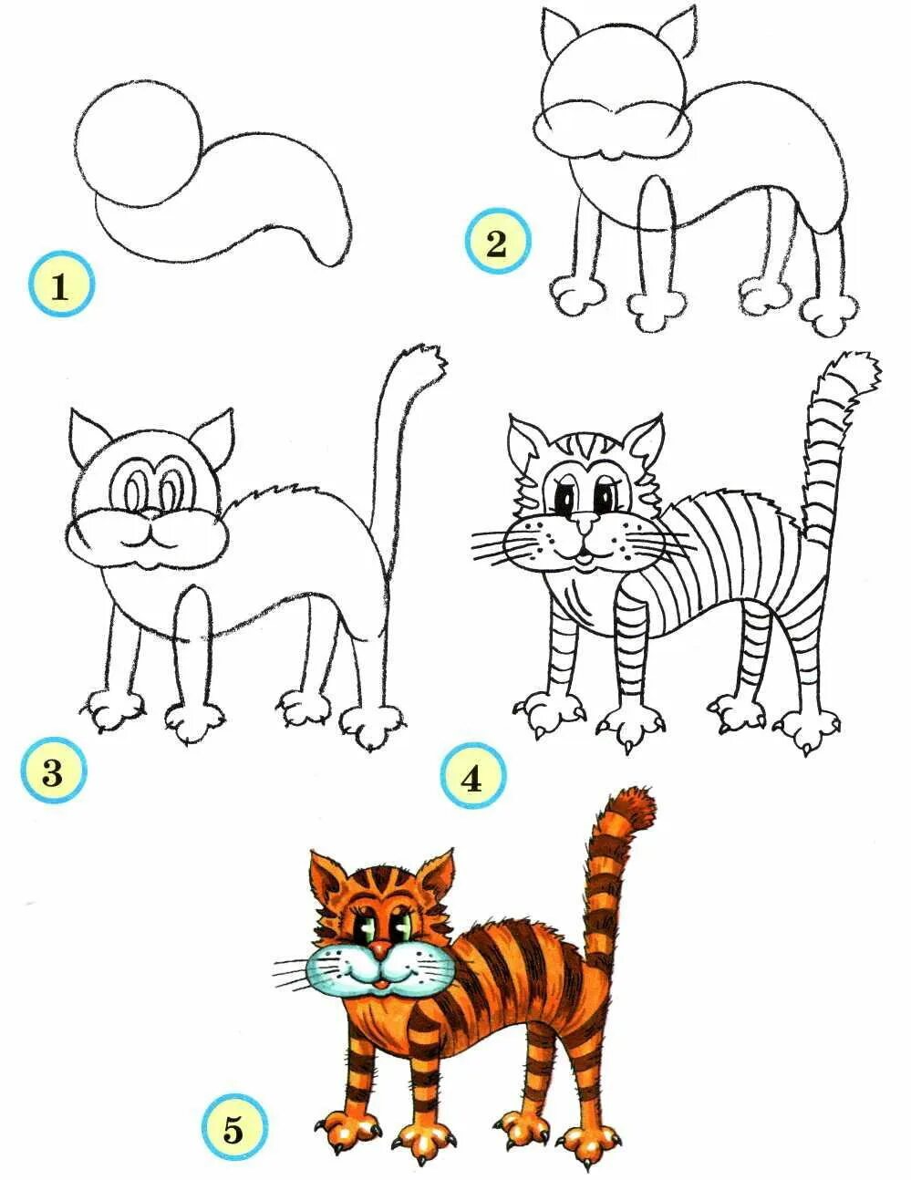 Учимся рисовать уроки. Рисунок животного. Поэтапное рисование животных. Схема рисования животных для детей. Схема рисования кошки для детей.